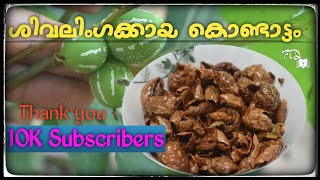 ശിവലിംഗക്കായkondattamchundanga kondattamkondattam recipe in malayalamvathal recipe [upl. by Kcirad]