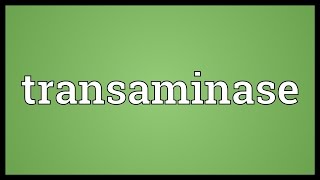 Transaminase Meaning [upl. by Amhsirak]