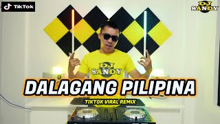 Maria Clara TikTok Disco Morenang Dalagang Pilipina  Dj Sandy Remix [upl. by Ahsietal384]