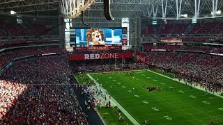 20181209 Lions vs Cardinals Protect the NestIn Stadium [upl. by Enier245]