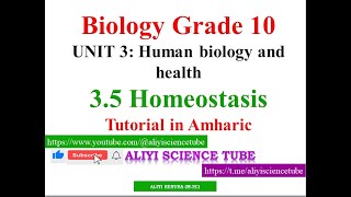 Homeostasis tutorial in Amharic on Biology Grade 10 Unit 3 Part Eight 8 [upl. by Neelehtak]