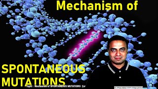 03 Molecular Mechanisms of SPONTANEOUS MUTATIONS [upl. by Rozella]