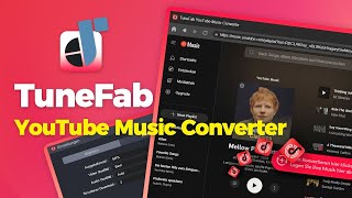 TuneFab YouTube Music Converter im Überblick 2024 [upl. by Atikahs353]