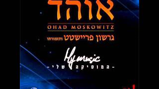 אוהד מושקוביץ  כינור דוד Ohad  Kinor David [upl. by Otsuj]