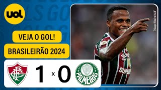 FLUMINENSE 1 X 0 PALMEIRAS  CAMPEONATO BRASILEIRO 2024 VEJA O GOL [upl. by Brunhilda]