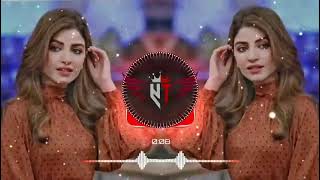 hik shakhs hai zahan to ni saraiki song viral status slowed reverb song 2024 [upl. by Adnohsal]