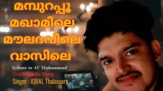 Mamburapoo Maqamile  മമ്പുറപ്പൂ മഖാമിലെ  Tribute to AV MUHAMMAD  Singer IQBAL Thalassery [upl. by Tildy781]