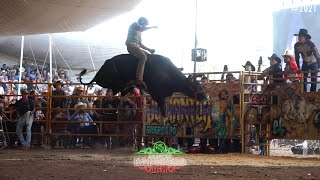 ASÍ MONTAN TOROS LOS MICHOACANOS TIEMPO DE GUERRA FT MAREADA DE TECARIO MICHOACÁN [upl. by Taimi483]