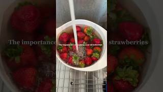 Strawberries lovers must know this cooking food food vlog viralshorts [upl. by Erodaeht]