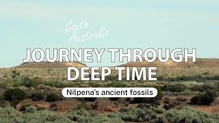 Visiting Nilpenas ancient fossils and the Flinders Ranges [upl. by Goodman]