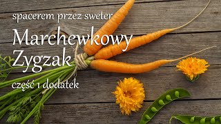 Wrześniowy Wielki Zygzak  cz 1 dodatek [upl. by Najed]