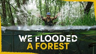 One year ago we flooded a forest  the results are insane [upl. by Jarietta]