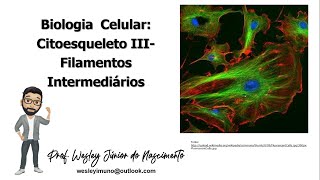 Biologia CelularEnsino SuperiorAula 22Citoesqueleto III Filamentos Intermediários [upl. by Ailefo]