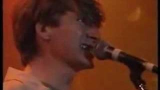 crowded house distant sun live [upl. by Goggin]