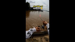 Mancing dasaran di saat air pasang besar [upl. by Attenal]