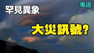 🔥🔥大災訊號❓魚集體暴斃 雞公蟲蝗蟲大爆發❗呢個地方連續四天出現罕見異象❗ [upl. by Ivek680]