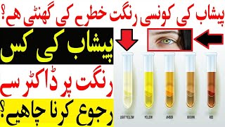 Urine problem  Urine Healthy Color  Peshab Ki Rangat Se Bimari Ki Tashkees  Online Remedies [upl. by Laraine]