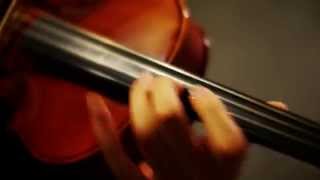 Senbon Zakura（千本桜  Thousands of cherry blossoms）Hatsune Miku（Viola Cover not Violin [upl. by Arhat]