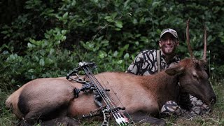 ROOSEVELT ELK SHOT OFF A RAILROAD BRIDGE [upl. by Atekahs432]