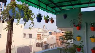 roof top garden With Artificial grass in winter  hanging pots  balcony garden [upl. by Errot]