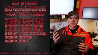 Arctic Cat 1100 ECU Tuning by Bikeman Performance [upl. by Annawyt735]