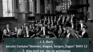 J S Bach  Cantata quotWeinenKlagenSorgen Zagenquot BWV 12  7 Was Gott tut das ist wohlgetan 77 [upl. by Jaehne]