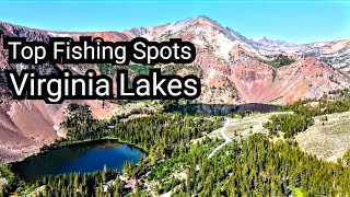 Top Fishing Spots  Virginia Lakes Basin  Eastern Sierra [upl. by Ssalguod]