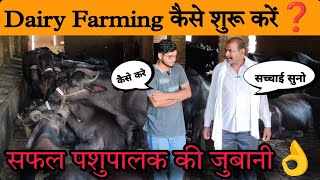 Dairy Farming कैसे शुरू करें❓how to start dairy farm business in india [upl. by Rodrick801]