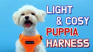 PUPPIA How to put on a Harness  C Style [upl. by Lertnahs]