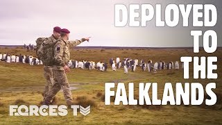 Guardians Of The South Atlantic UK Forces In The Falklands  Forces TV [upl. by Jamima]