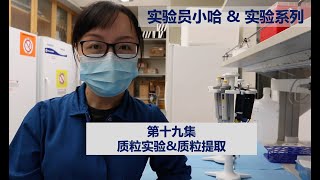 Visual Protocol 19  Plasmid isolation 实验员小哈amp实验系列  第十九集 质粒提取 [upl. by Topliffe]