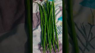 drumstick ki sabjisahjan trending food 5minutecreafts shortvideo youtubeshorts viralvideo yt [upl. by Ebberta344]