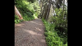 The Auke Lake Trail is a definite must during the 2025 summer A very easy and peaceful walk [upl. by Ettelrats177]