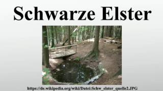 Schwarze Elster [upl. by Eckblad]