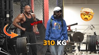 ANATOLY Stunned Strong Guys in Gym Prank🤯 [upl. by Anala516]