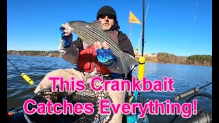 This Crankbait catches Striper Crappie and Bass [upl. by Deni]