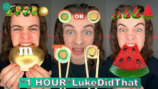 1 HOUR LukeDidThat Spicy Food Challenge TikToks 2024  Best LukeDidThat TikTok Compilations [upl. by Erodasi747]