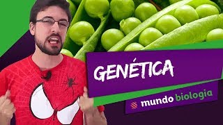 🧬 Genética 18 1ª Primeira Lei de Mendel  Biologia  ENEM [upl. by Ydoc]