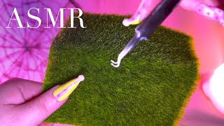 ASMR Super Satisfying Grass Bug Searching [upl. by Conah]