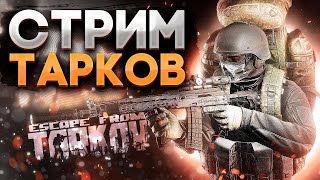 🌊STALKER 2  274 День поднятия онлайна с 0 🌊 Solo Gaming  PvP  65 LVL стрим tarkov eft [upl. by Maice]