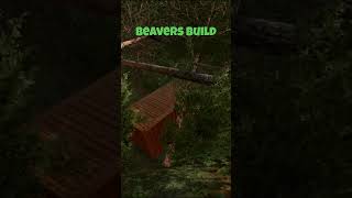 Found something interesting in the forest FS 22 farmingsimulator22 farming simfarming fs22 [upl. by Mailli244]