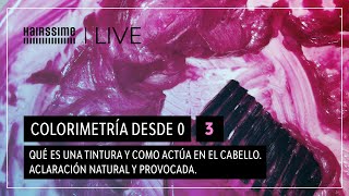 Colorimetría desde 0  3 Qué es una tintura y como actúa en el cabello [upl. by Htiduy]