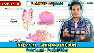 Lec 8 Phylum Porifera Animal Kingdom Class 11 NEET 2024 [upl. by Silvana]