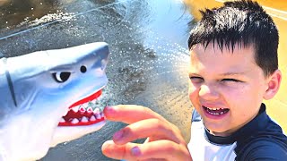 SHARK CHASE AT THE SPLASH PAD BABY SHARK SONG FOR KIDS PRETEND PLAY with Caleb [upl. by Llebpmac]