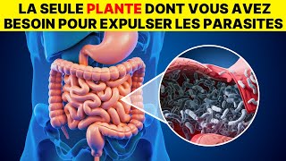 Seulement 2 cuillères Expulsent tous les vers et parasites de votre corps [upl. by Morton]