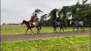 Gallops 02112024 Julia Feilden Racing [upl. by Neumeyer237]