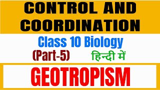 geotropism in plants  control and coordination class 10 in hindi [upl. by Belita]