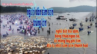 Nghề bắt hải sâmbông thùangaophiốc móng tay độc lạ nhất của người dân sầm sơnthanh hoá [upl. by Cacie]