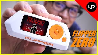 Flipper Zero  DarkFlippers  Unleashed Firmware amp First Impression [upl. by Eve]