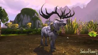 Mists of Pandaria Druid Travel Form Animations [upl. by Setarcos799]